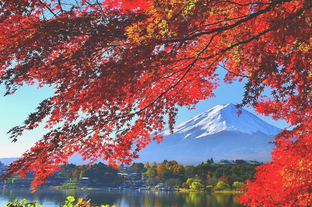 Learn Japanese fast! Best teacher, Great Classes - Mt. Fuji